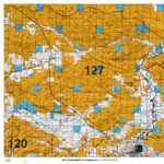 Wyoming White Tail Deer Maps.
