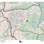 HuntAI - First Rifle Recommendations